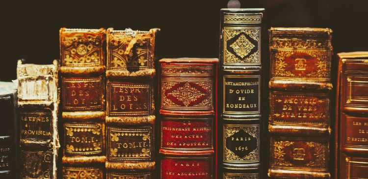 a importância do francês para a história